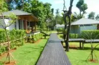 beautiful elevated wooden walkways between villas
